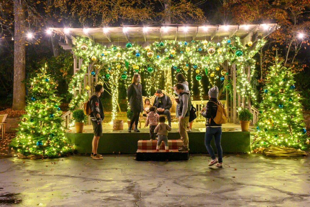 family enjoying winter holiday lights at night