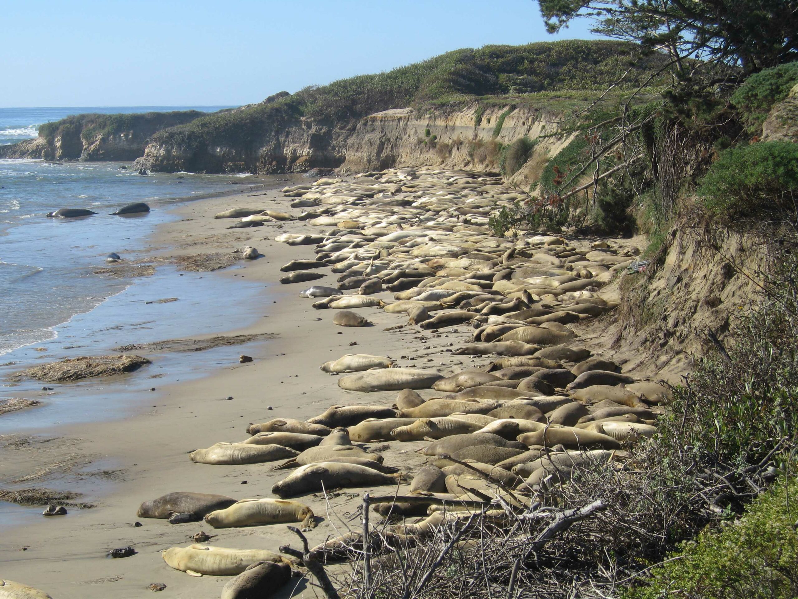 Day Trip - San Mateo Coast - Bay Area Parent Magazine