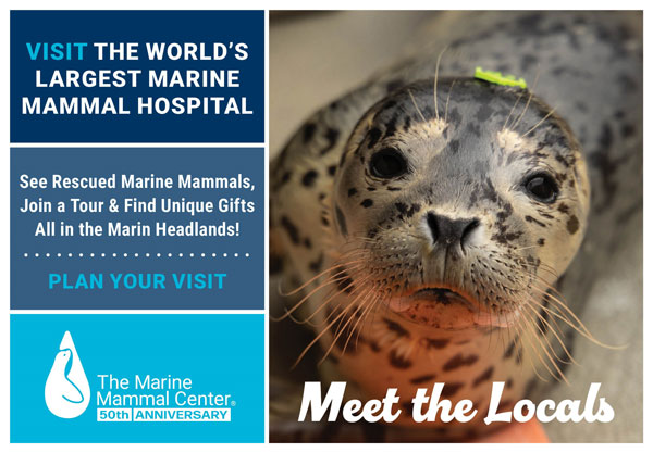 marine mammal center, marin california