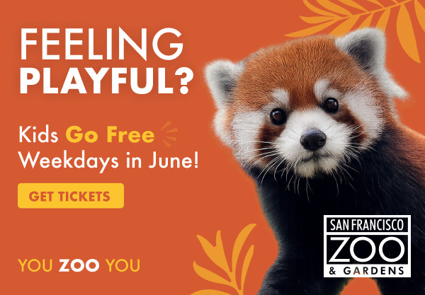 Event Calendar - Bay Area Parent Magazine